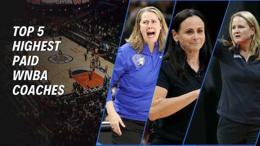 WNBA Coach Salary of All Time: How Much Do Top Coaches Earn?